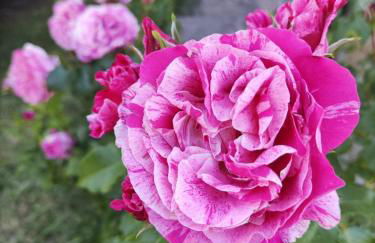 Cascina Bruna - Terrazza panoramica e giardino a Bobbio, Val Trebbia - Foto 44