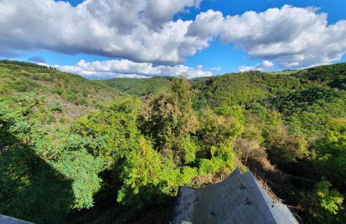 Kutscherhaus auf der Sauerburg - Photo 6