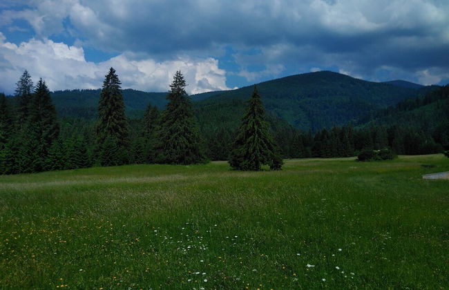 Ski-Lake Cottage Nízke Tatry - Foto 19