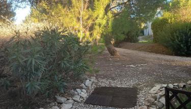Maison blanche - Photo 3