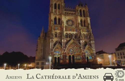 Le Chat d'Or - Grande cuisine - Foto 15