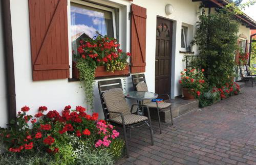 Domek przy lesie Mazury - noclegi całoroczne - Foto 1