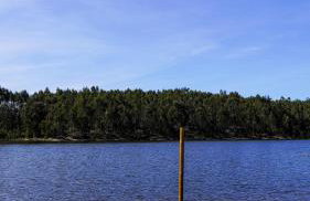 Nature Forest - Herdade de Martingil - Foto 77