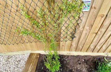 3-bed cottage in Sway, New Forest (5 min walk from Sway Train Station) - Foto 51