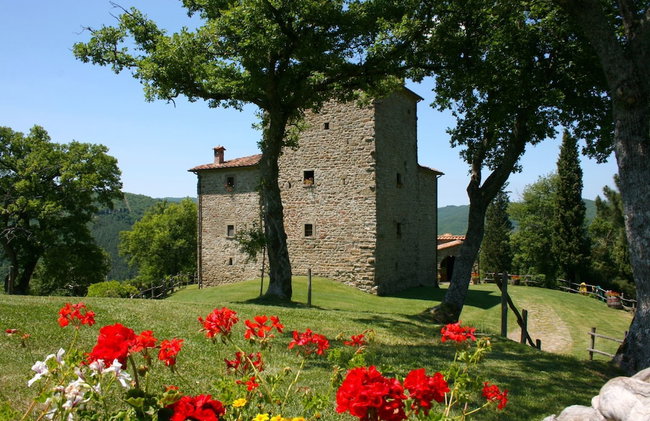 Wonderful private villa for 16 people with WIFI, private pool, TV and parking - Photo 34