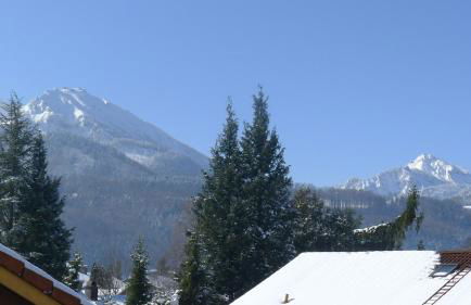 Alpenpanorama vacation home - Photo 7