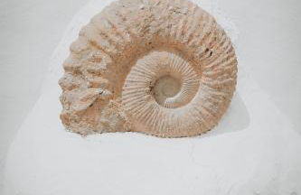 Villa Amonita - luxurious space, private pool - Foto 56