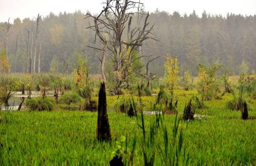 Ferienwohnung Petra Bargel "die Nr 1"in Speck - Foto 6