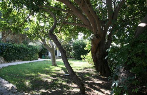 Villa Aurea - Foto 20