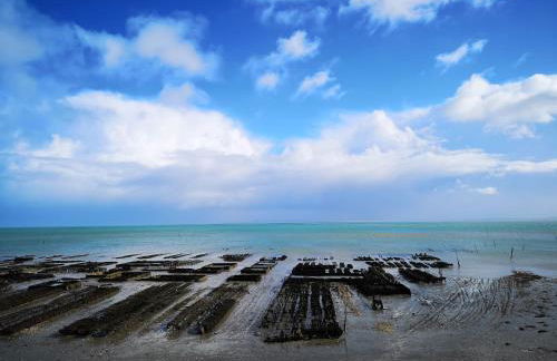 Gites Ferme de la Baie - Foto 49