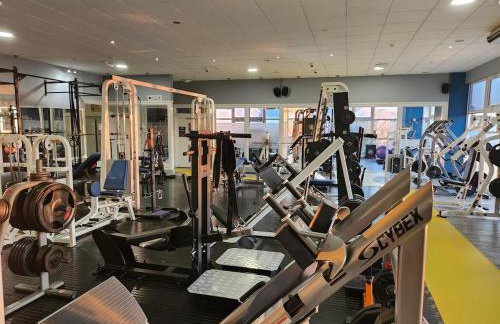 Little Pol - Foto 10