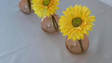 Apartmani Tomelić - Photo 3