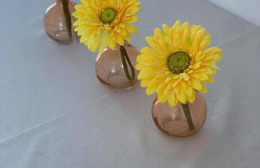 Apartmani Tomelić - Photo 3