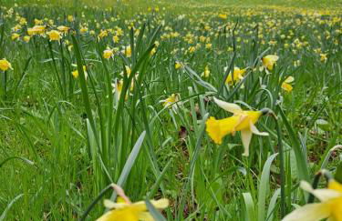 Wohn Eitel, Erholung pur - Foto 9