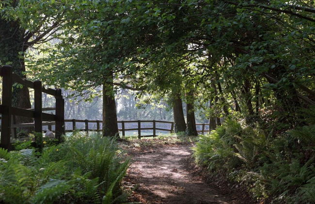 La Cucchetta - Foto 31