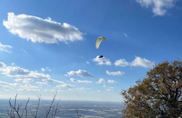 Sweet Home Sofia - Photo 16