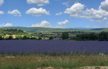 Gîte La Mosaïque - Foto 14