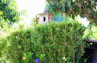 Villa with Mountain view, São Vicente, Madeira - Foto 40
