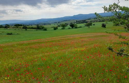 Marrucheti 16 Countryside Apartment with Free WiFi & free Parking - Foto 27