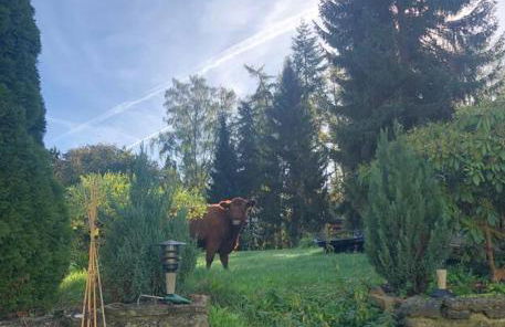 Ferienwohnung Tillmanns - Foto 20