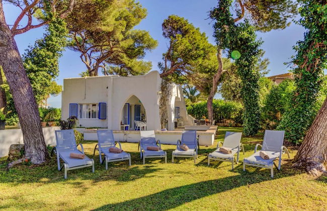 New 2020 Casa Plomer - Foto 22