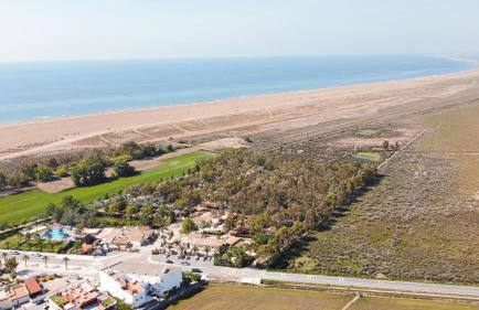 CALITO DEL DELTA - Foto 2