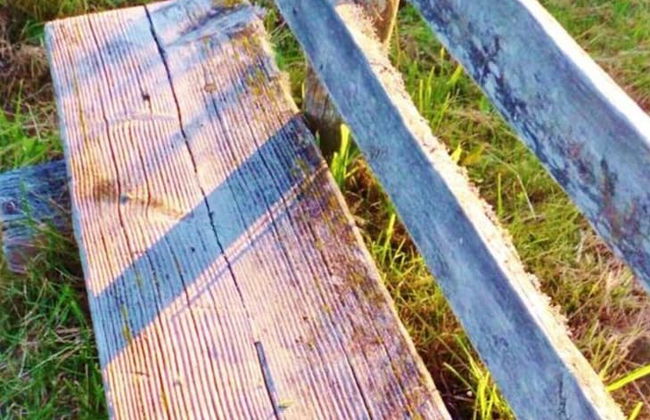 Pleasant Holiday Home With Balcony - Foto 12