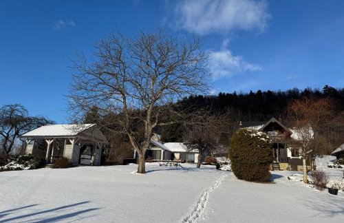 Dom w Starym Sadzie z basenem i sauną - Beskid Wyspowy - Foto 49