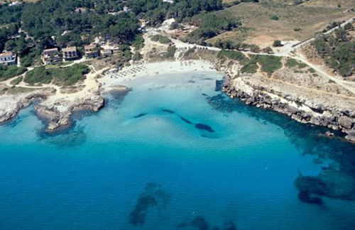 Villa Teix de Bonaire para 10, jardines y vista mar - Foto 22