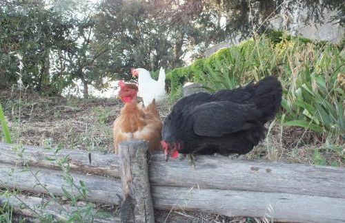 Agriturismo La Villetta - Foto 24