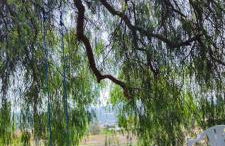 Country house with view on Syracusae gulf - Foto 16