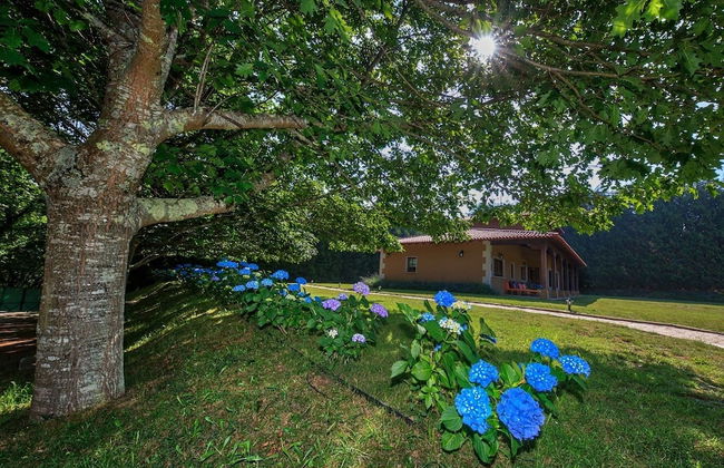 HolaCamp Camino - Photo 5