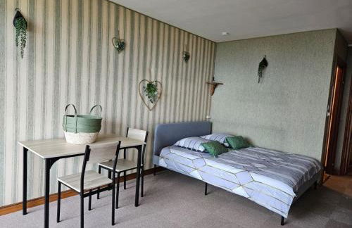 LE PANORAMA studio privé avec vue magnifique TURCKHEIM TROIS ÉPIS - Foto 5