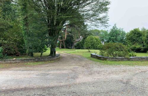 Cottage Tea Mamm , écrin de verdure et son jardin de thé, 3 étoiles - Foto 34