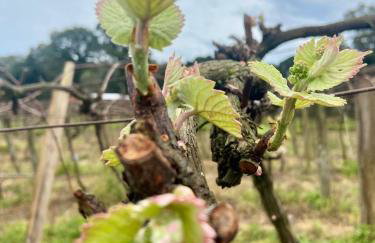 Casa Vita BG - Casa de campo - Foto 47