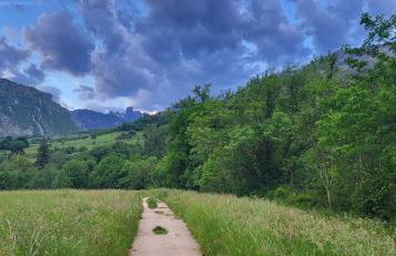 Ca Na Daniela - Foto 29