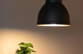 Elysian Studios - Photo 48