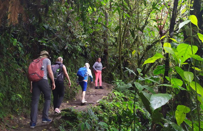 Mindo Day Trip - Photo 4