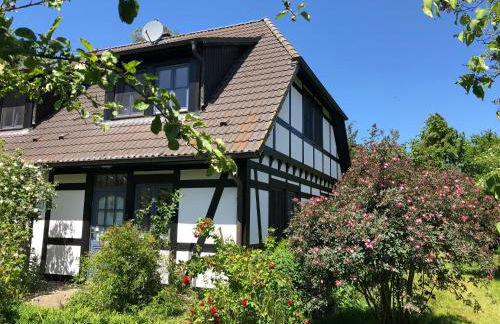 Am Achterwasser DORF 12 - Foto 44