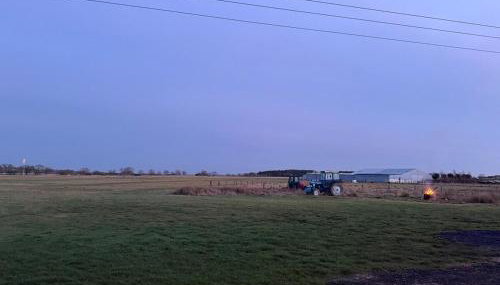 The Truck - Foto 3, Garden view