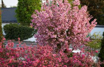 Apartment in musikalischem Haus - Foto 13