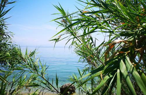 Nikoli Apartments - Foto 51