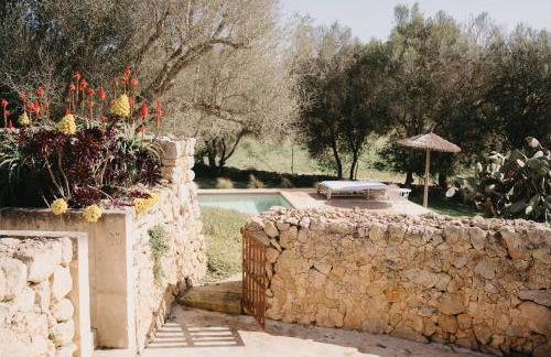 N a k e d S o l - Foto 5