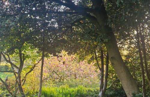 Grand Elegant Georgian Villa Wye Valley National Park - Foto 76