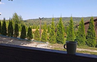 Bieszczadzkie Wzgórze Saunowe- Jacuzzi i Sauna w cenie pobytu - Foto 64