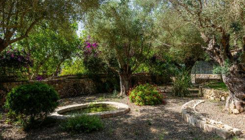 Finca Son Moix - Foto 3, Garden, Garden view