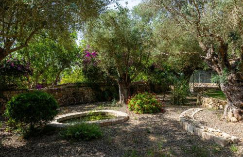 Finca Son Moix - Foto 3