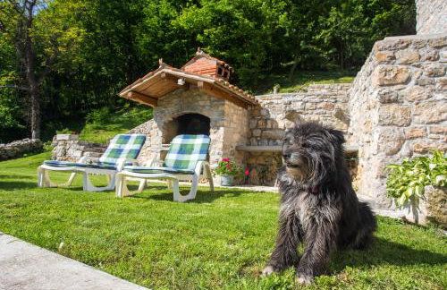 Villa Sirotnjak - Foto 31