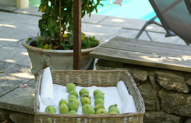 Splendid Villa in Viens With Swimming Pool - Foto 75