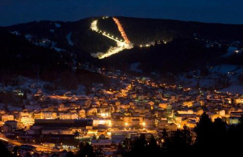 LE QUARTZ DES HAUTES-VOSGES - Foto 30
